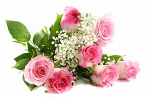 Beautiful pink roses bouquet isolated on white